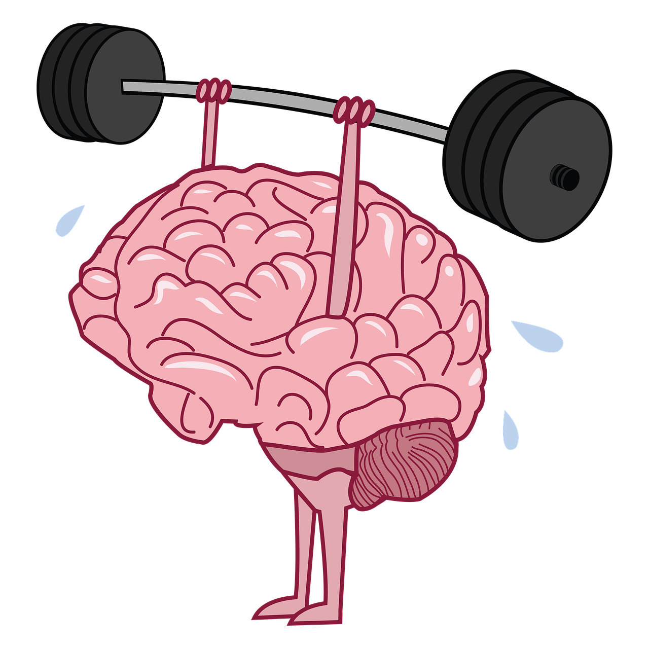 Kinesiology and Health Image