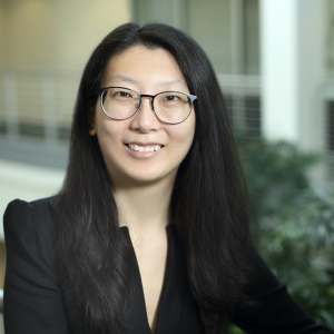 Fangyu Liu